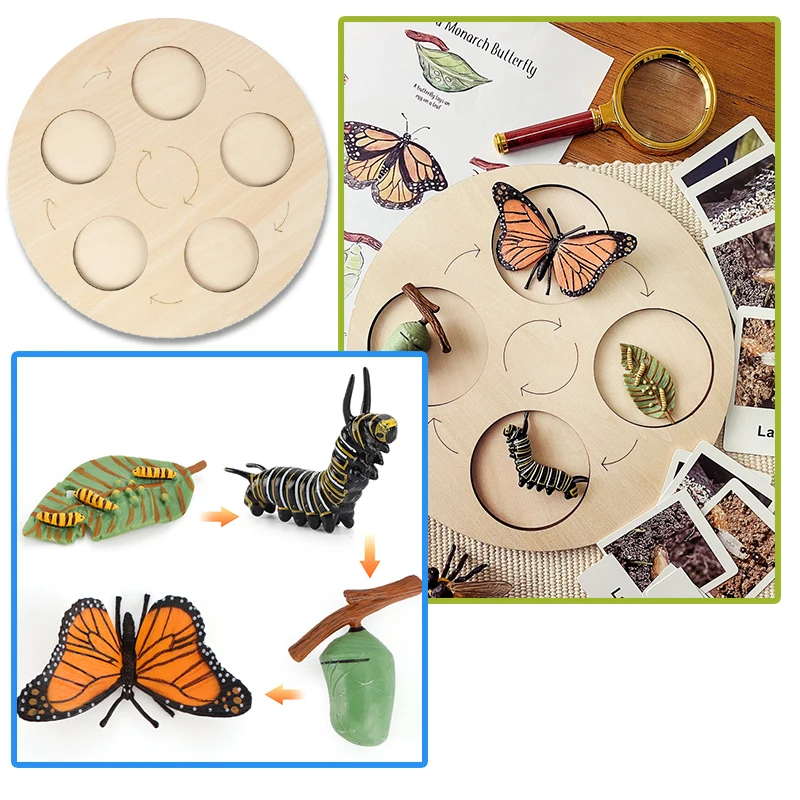 Montessori Educational Didactic Material Wooden Animals Board Games For Children Montessori 2 Years Preschool Kids Learning Toys
Montessori Educational Didactic Material Wooden Animals Board Games For Children Montessori 2 Years Preschool Kids Learning Toys