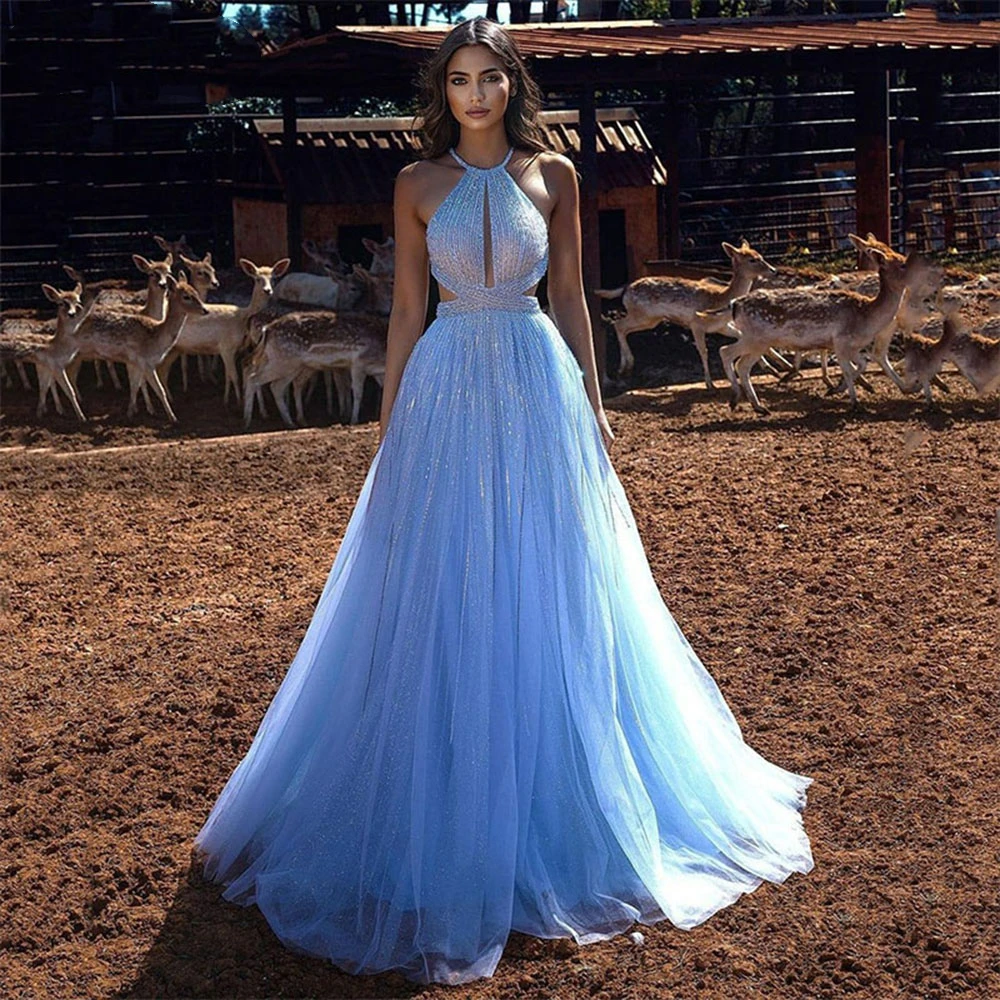 Private Custom Sky Blue Halter Sequined Tulle Party Gown Elegant Glitter Backless Formal Evening Dress Robe De Soirée
Private Custom Sky Blue Halter Sequined Tulle Party Gown Elegant Glitter Backless Formal Evening Dress Robe De Soirée
