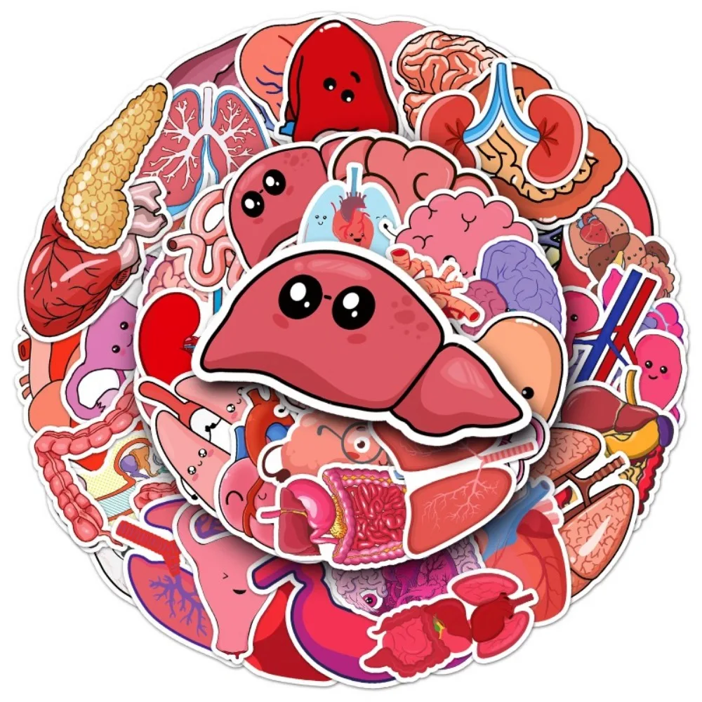 10/50Pcs Cartoon Human Body Organ Stickers Waterproof Sticker Anatomy Map Medical Decor Decals for Laptop Luggage Phone Kids Toy
10/50Pcs Cartoon Human Body Organ Stickers Waterproof Sticker Anatomy Map Medical Decor Decals for Laptop Luggage Phone Kids Toy