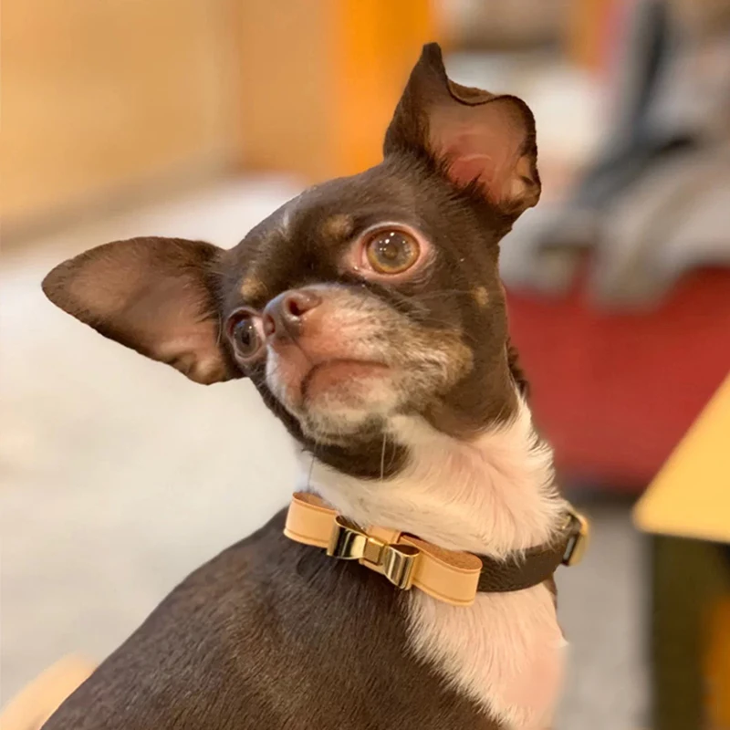 Puppy Luxury Custom Bow Tie Collar Leash Set for Yorkies Chihuahua Pet Dog Designer Collar for Small Dogs Dog Accessories LC0238
Puppy Luxury Custom Bow Tie Collar Leash Set for Yorkies Chihuahua Pet Dog Designer Collar for Small Dogs Dog Accessories LC0238
