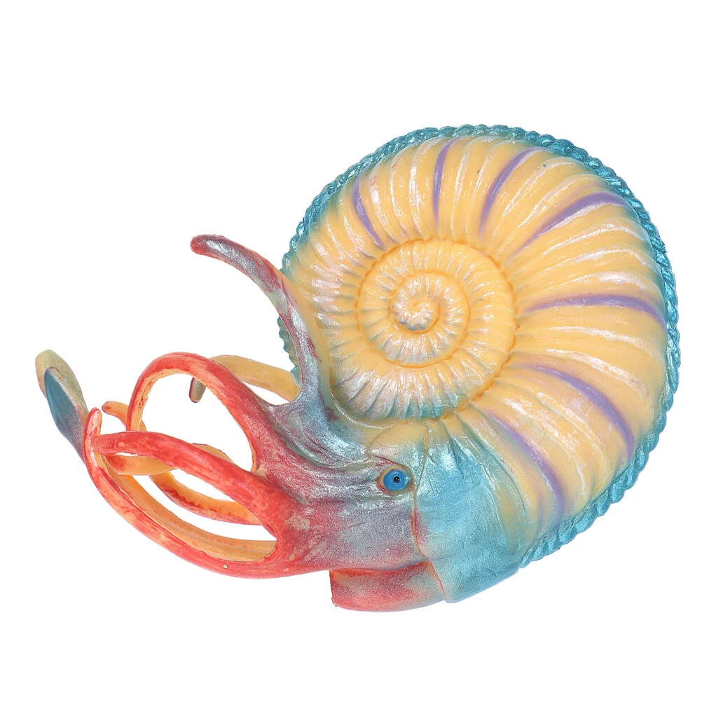 

Simulated Nautilus Plastic Sea Animal Model Animals Toy Simulation Marine Decoration Figurine Child Shell