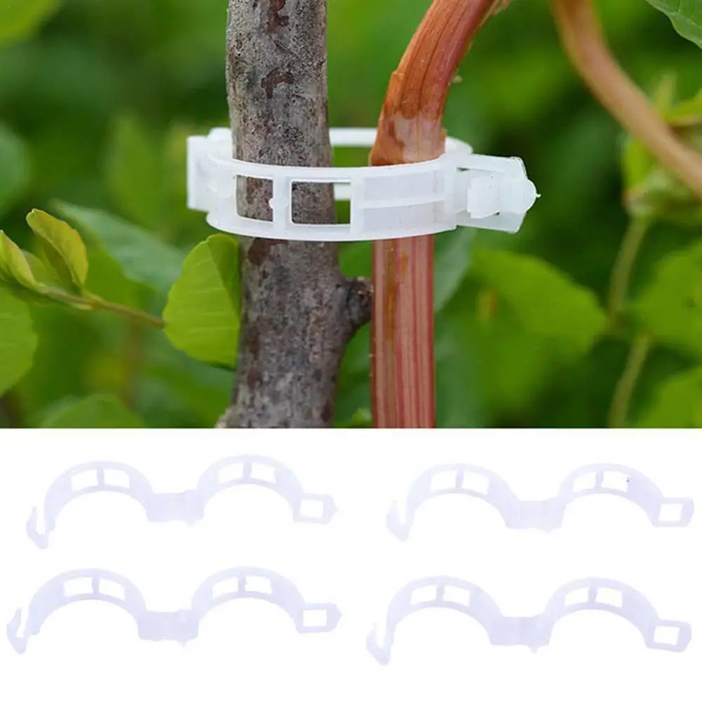 100pcs Plant Climbing Wall Self-Adhesive Fixed Buckle Hook Fastener Tied Fixture Vine Buckle Hook Garden Plant Vine Clips
100pcs Plant Climbing Wall Self-Adhesive Fixed Buckle Hook Fastener Tied Fixture Vine Buckle Hook Garden Plant Vine Clips