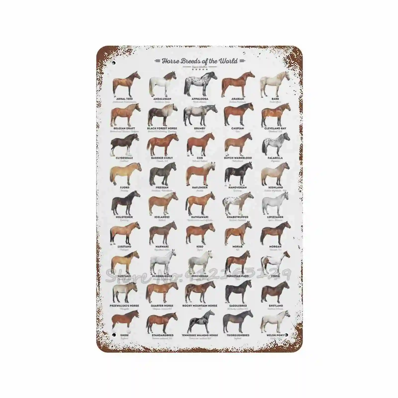 Horse Breeds Of The World Metal Sign Decor Metal Plate Tin Signs Wall Decor Vintage Nostalgia Round Plates Horse Horses Breeds
Horse Breeds Of The World Metal Sign Decor Metal Plate Tin Signs Wall Decor Vintage Nostalgia Round Plates Horse Horses Breeds