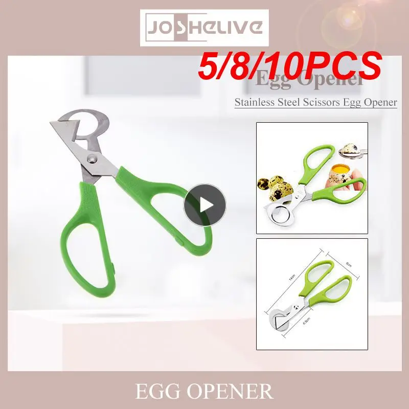 5/8/10PCS Durable Cutter Opener Stainless Steel Blade Egg Cutters Bird Eggshell Separator Bird Cutter Opener Kitchen Tool
5/8/10PCS Durable Cutter Opener Stainless Steel Blade Egg Cutters Bird Eggshell Separator Bird Cutter Opener Kitchen Tool