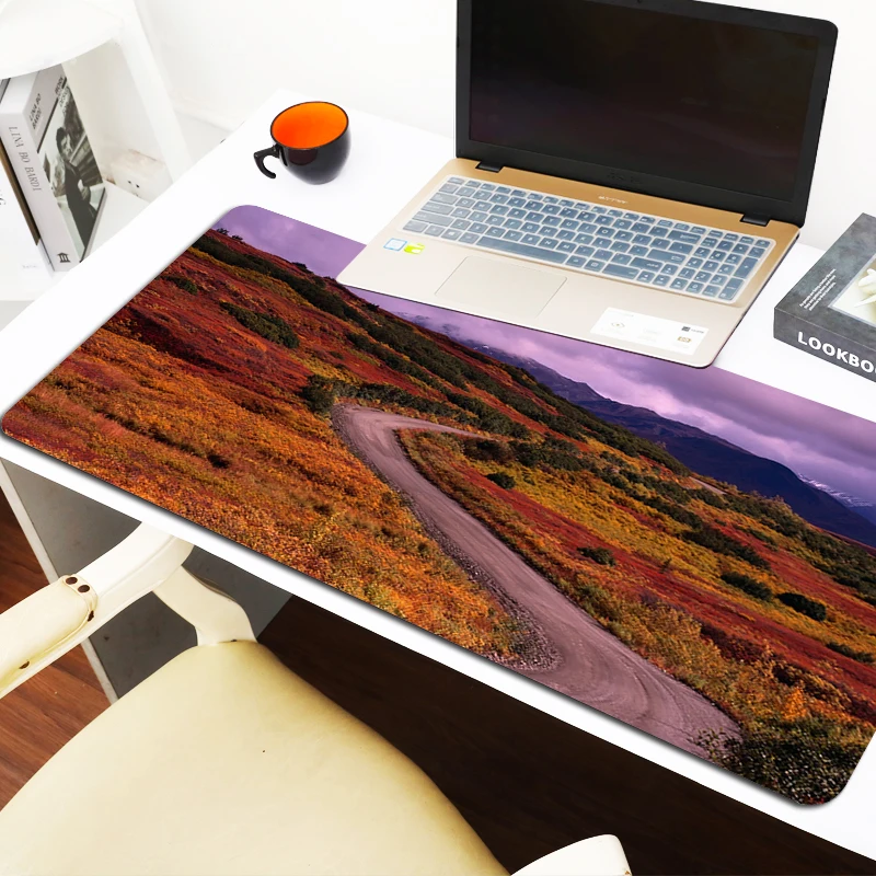 Cute Mouse Pad Gamer Winding Road Office Accessories Pc Cabinet Games Computer Desks Mousepad Anime Desk Mat Keyboard Gaming Xxl
Cute Mouse Pad Gamer Winding Road Office Accessories Pc Cabinet Games Computer Desks Mousepad Anime Desk Mat Keyboard Gaming Xxl