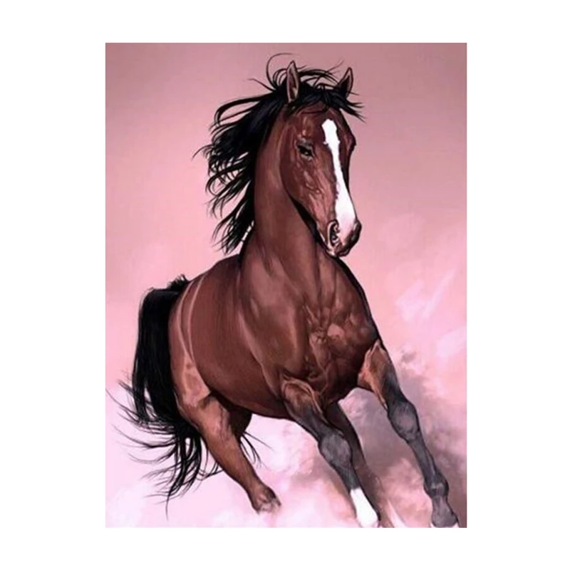 DIY Diamond Painting Art Painting Wall Decoration Home Office Decoration Muban Horse To Success
DIY Diamond Painting Art Painting Wall Decoration Home Office Decoration Muban Horse To Success