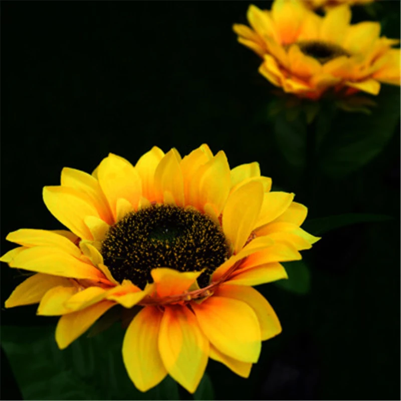 Garden lights Solar LED Light Waterproof Sunflower Lawn Light Courtyard Garden Decoration Outdoor Landscape Lighting For Patch
Garden lights Solar LED Light Waterproof Sunflower Lawn Light Courtyard Garden Decoration Outdoor Landscape Lighting For Patch