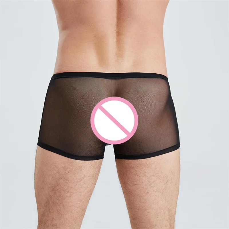 Mens Mesh Sheer Briefs Shorts Underpants Men Sexy Stretch Panties See Through Boxer Underwear Seamless Calzoncillo Hombre
Mens Mesh Sheer Briefs Shorts Underpants Men Sexy Stretch Panties See Through Boxer Underwear Seamless Calzoncillo Hombre