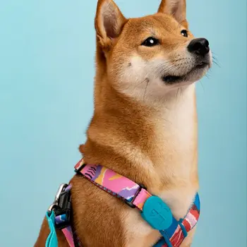 Fashion Dog X Type Adjustable Comfortable Safety Soft Harnesses Cute Large Dog Anti-break Vest