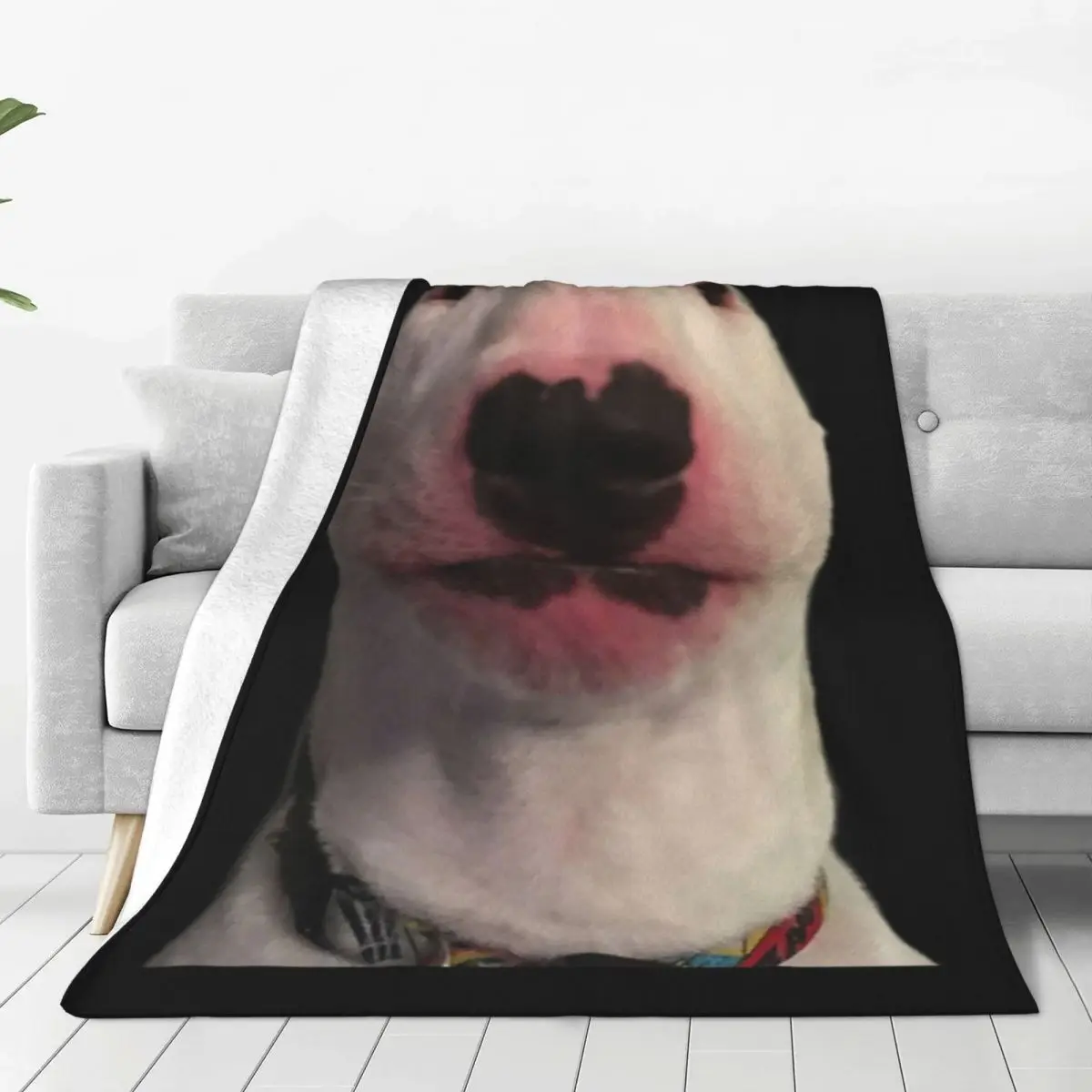 Подарочное одеяло с Уолтером собачкой, смешное Фланелевое покрывало с принтом, мягкое теплое покрывало для дома и дивана
Подарочное одеяло с Уолтером собачкой, смешное Фланелевое покрывало с принтом, мягкое теплое покрывало для дома и дивана