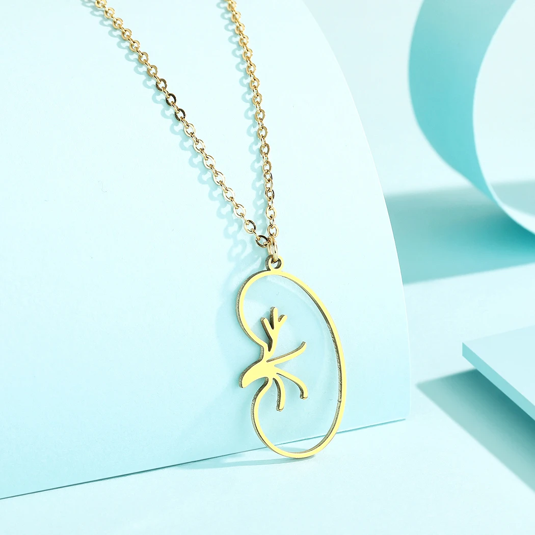 Chandler Stainless Steel Urologist Necklace Kidney Transplant Pendant Nephrologist Doctor Kidney Diseases Biology Jewelry
Chandler Stainless Steel Urologist Necklace Kidney Transplant Pendant Nephrologist Doctor Kidney Diseases Biology Jewelry