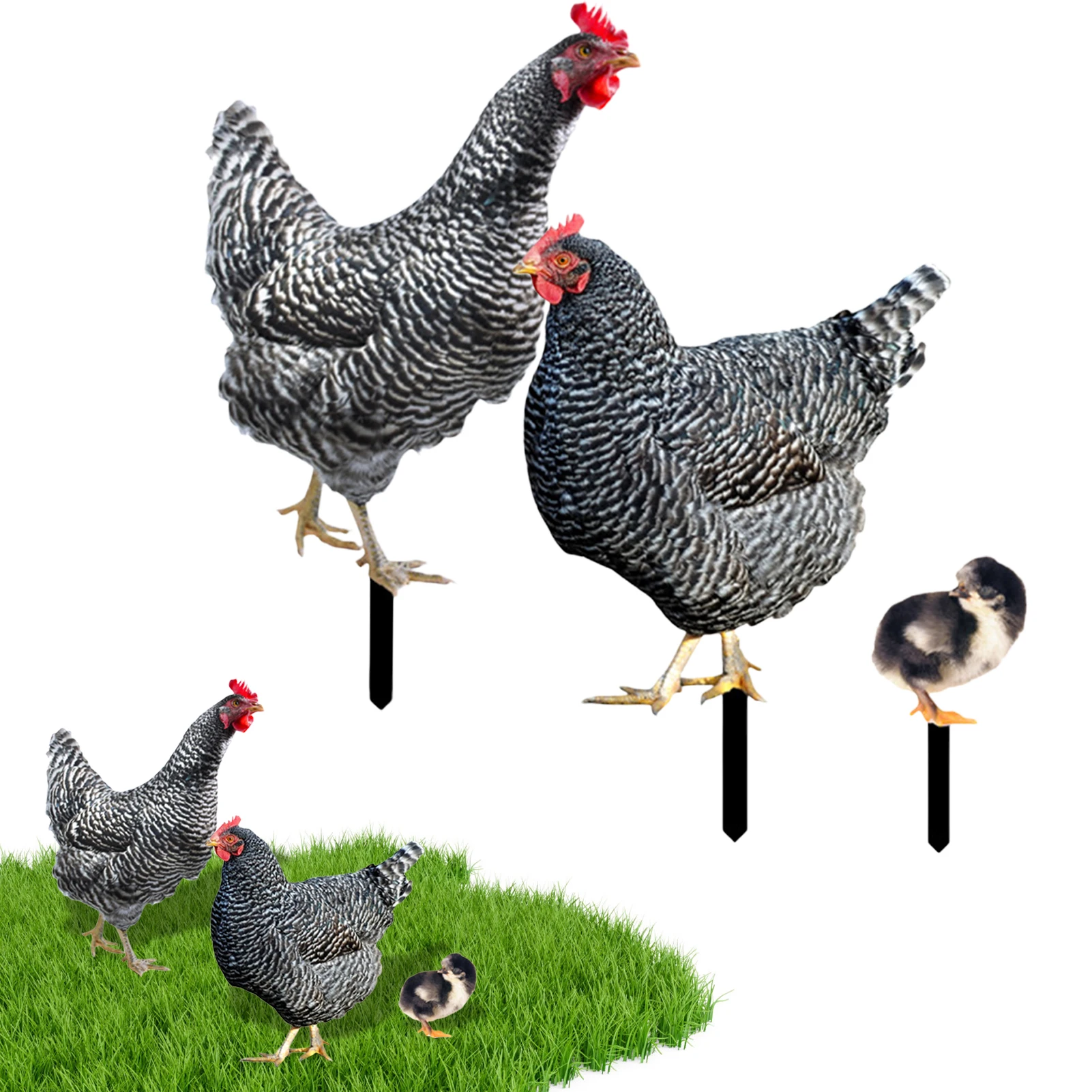 3PCS Realistic Chicken Family Garden Statues Yard Art Rustic Outdoor Decor Backyard Garden Farmhouse Decor Chicken Stakes
3PCS Realistic Chicken Family Garden Statues Yard Art Rustic Outdoor Decor Backyard Garden Farmhouse Decor Chicken Stakes