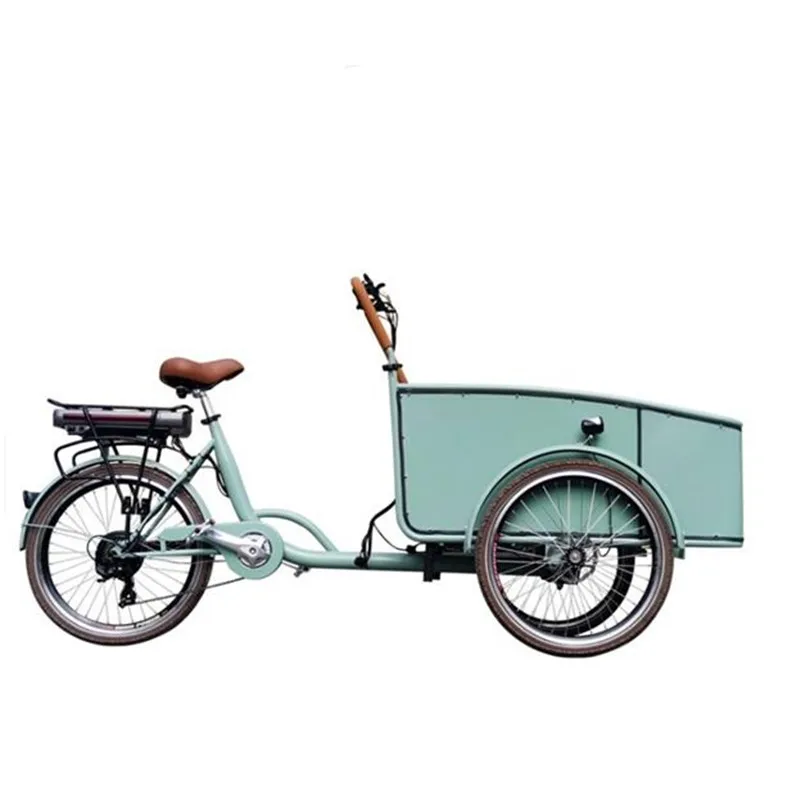 Blue Color Pedal Electric Dutch Adult Tricycle Cargo Bike Street Vending Cart for Sale Customizable
Blue Color Pedal Electric Dutch Adult Tricycle Cargo Bike Street Vending Cart for Sale Customizable