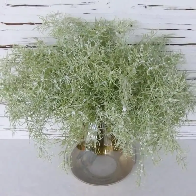 Artificial Plant Garden Decoration Outdoor Aesthetic Room Bonsai Grass Flower Pot Plastic Household Decorative Items Planters
Artificial Plant Garden Decoration Outdoor Aesthetic Room Bonsai Grass Flower Pot Plastic Household Decorative Items Planters