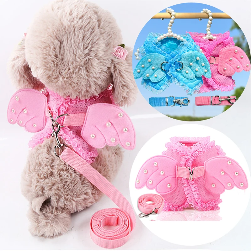 Cute Angel Wings Dog Harness Breathable Mesh Leash Set for Small Dogs Puppy Chest Collar Spring Summer Dog Walking Pet Supplies
Cute Angel Wings Dog Harness Breathable Mesh Leash Set for Small Dogs Puppy Chest Collar Spring Summer Dog Walking Pet Supplies