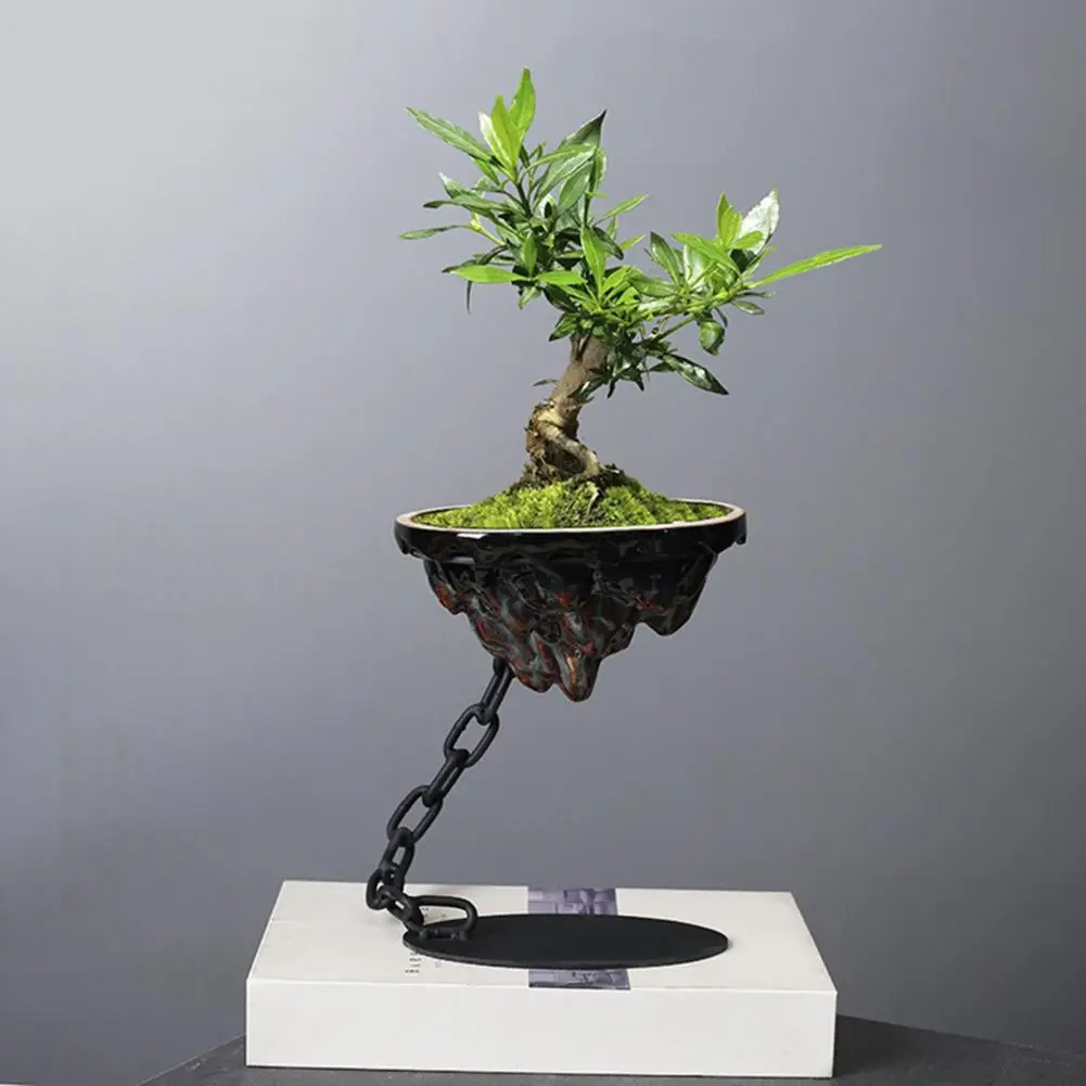 Modern Bonsai Planter Rockery Material Safety Bamboo Succulent Moss Ball Landscape Basin Succulent Planter Pot Ornament
Modern Bonsai Planter Rockery Material Safety Bamboo Succulent Moss Ball Landscape Basin Succulent Planter Pot Ornament