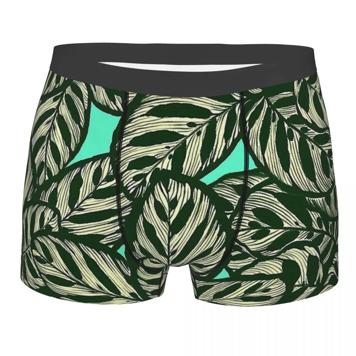 Calathea Makoyana Tropical Leaves Beach Underpants Homme Panties Shorts Boxer Briefs Man Underwear Sexy
Calathea Makoyana Tropical Leaves Beach Underpants Homme Panties Shorts Boxer Briefs Man Underwear Sexy