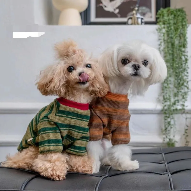 Retro Stripe Hoodie Dog Clothes Fashion Kawaii Small Dog Clothing Cat Thick Comfortable Warm Costume Winter Pet Items Wholesale
Retro Stripe Hoodie Dog Clothes Fashion Kawaii Small Dog Clothing Cat Thick Comfortable Warm Costume Winter Pet Items Wholesale