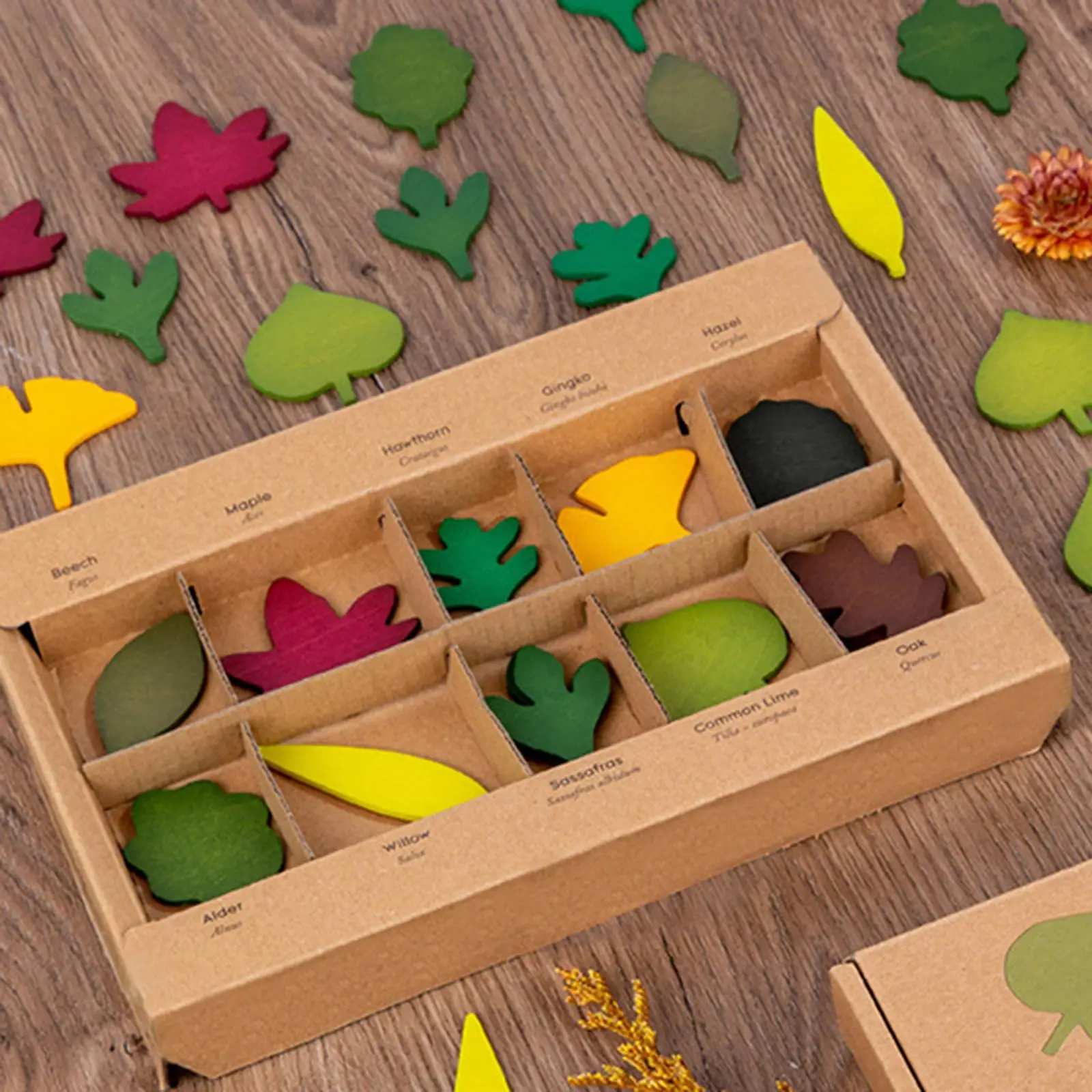 Wooden Leaf Jigsaw Puzzles Educational Activity Toys Early Stem Educational Toy Sensory Development for Boys Girls 3 Years Old
Wooden Leaf Jigsaw Puzzles Educational Activity Toys Early Stem Educational Toy Sensory Development for Boys Girls 3 Years Old