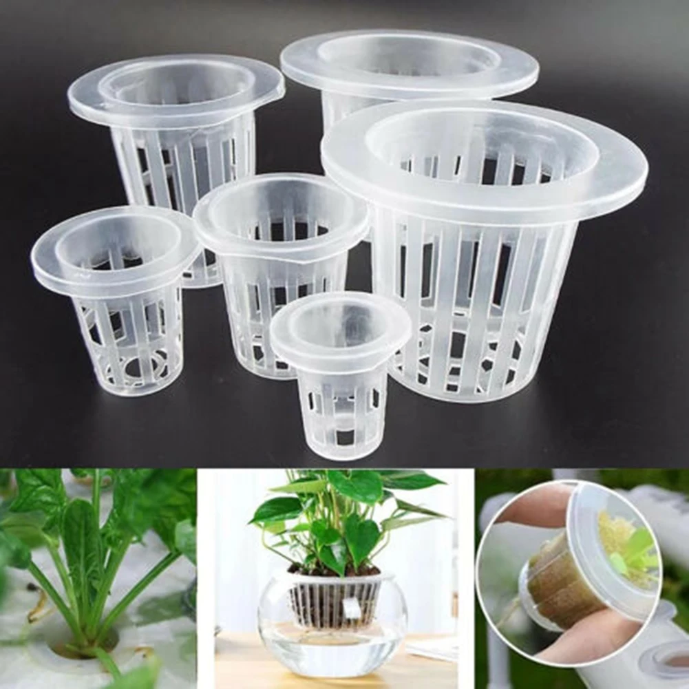 50pcs Hydroponic Basket Garden Vegetable Soilless Grow Net Pot Multi-Size Aeroponics Plastic Planting Mesh Pots
50pcs Hydroponic Basket Garden Vegetable Soilless Grow Net Pot Multi-Size Aeroponics Plastic Planting Mesh Pots