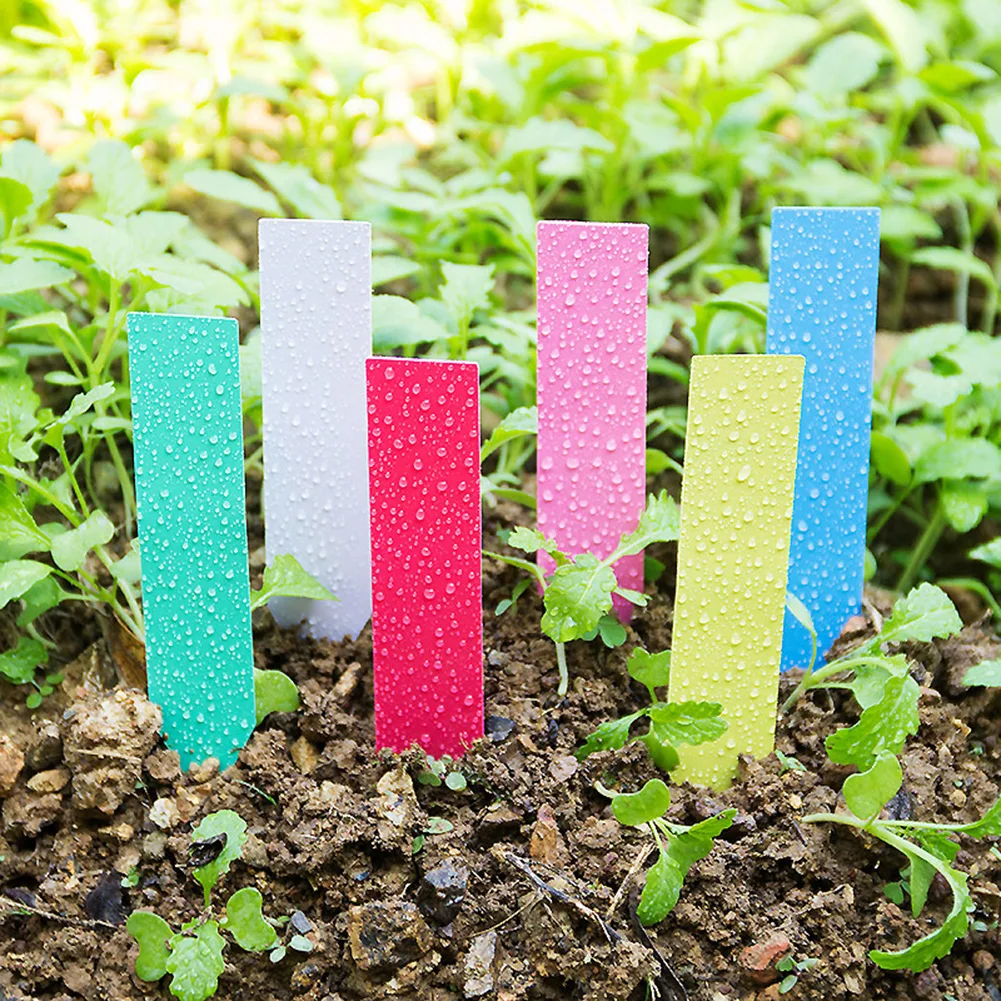 Waterproof Garden Plant Labels Plastic Tags Nursery Markers Flower Pots Seedling Write Sign Mark DIY Garden Decor Tools 100pcs
Waterproof Garden Plant Labels Plastic Tags Nursery Markers Flower Pots Seedling Write Sign Mark DIY Garden Decor Tools 100pcs
