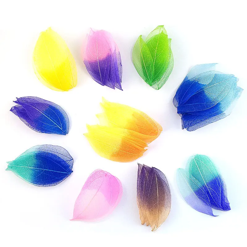 20pcs AB Color Dry Leaves Material Scrapbooking Embellishment Artificial Flowers Decoration DIY Handmade Supplies
20pcs AB Color Dry Leaves Material Scrapbooking Embellishment Artificial Flowers Decoration DIY Handmade Supplies