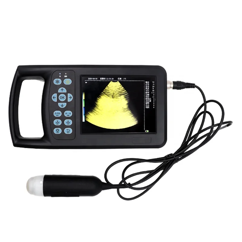 Handheld Digital 5.6 inches Vet Ultrasound Machine Portable Pig Sheep Ultrasound Pregnancy Tester
Handheld Digital 5.6 inches Vet Ultrasound Machine Portable Pig Sheep Ultrasound Pregnancy Tester