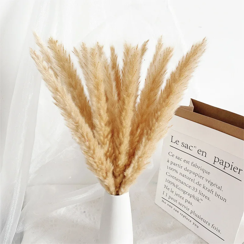 Small Reed Dried Flowers Bulrush Phragmites Pampas Grass Wedding Decoration Accessories Home Decor Flores Decorativas
Small Reed Dried Flowers Bulrush Phragmites Pampas Grass Wedding Decoration Accessories Home Decor Flores Decorativas