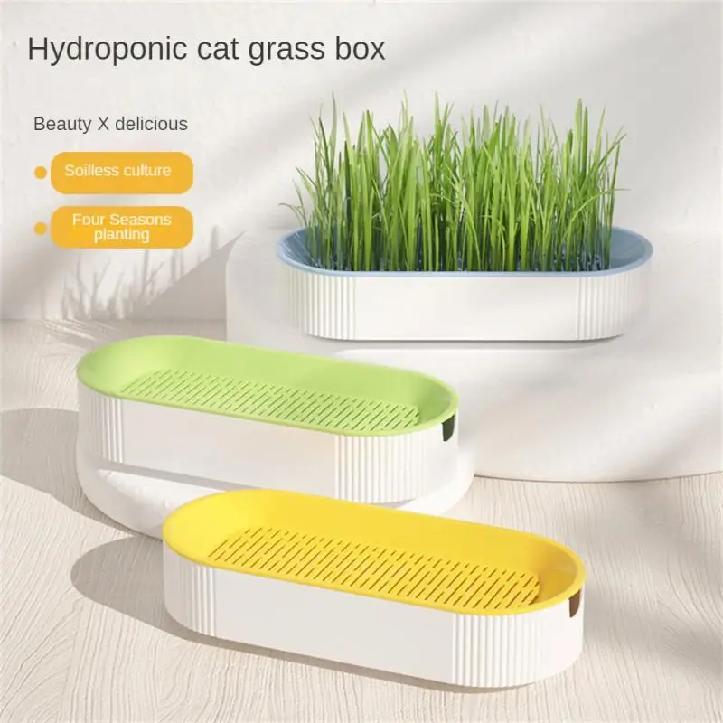 

1set Pet Cat Grass Sprout Dish Growing Pot Hydroponic Plant Cat Grass Germination Digestion Starter Dish Greenhouse Grow Box