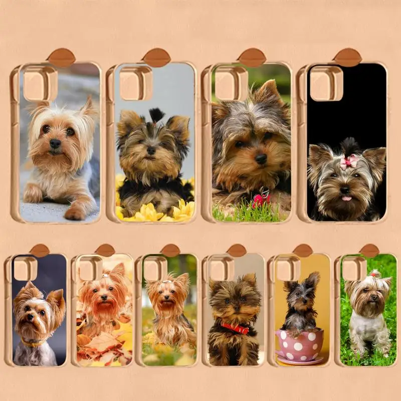 YNDFCNB Yorkshire terrier dog Phone Case for iPhone 11 12 13 Mini Pro Max 8 7 6 6S Plus X 5 SE 2020 XR XS Case shell
YNDFCNB Yorkshire terrier dog Phone Case for iPhone 11 12 13 Mini Pro Max 8 7 6 6S Plus X 5 SE 2020 XR XS Case shell