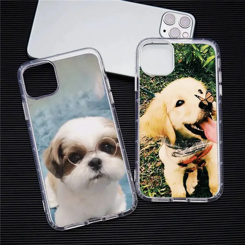 Dog Phone Case For Iphone 11 12 13 Pro Max 6s 7 8 Plus X Xr Xs Max Se2020 13mini Transparent Cover
Dog Phone Case For Iphone 11 12 13 Pro Max 6s 7 8 Plus X Xr Xs Max Se2020 13mini Transparent Cover