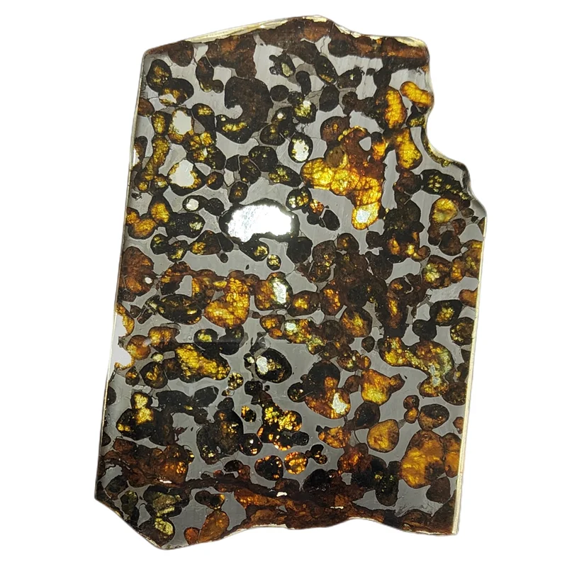 Serico Kenya Olive Meteorite Specimen Natural Meteorite Slice Olive Meteorite Large Section Specimen
Serico Kenya Olive Meteorite Specimen Natural Meteorite Slice Olive Meteorite Large Section Specimen