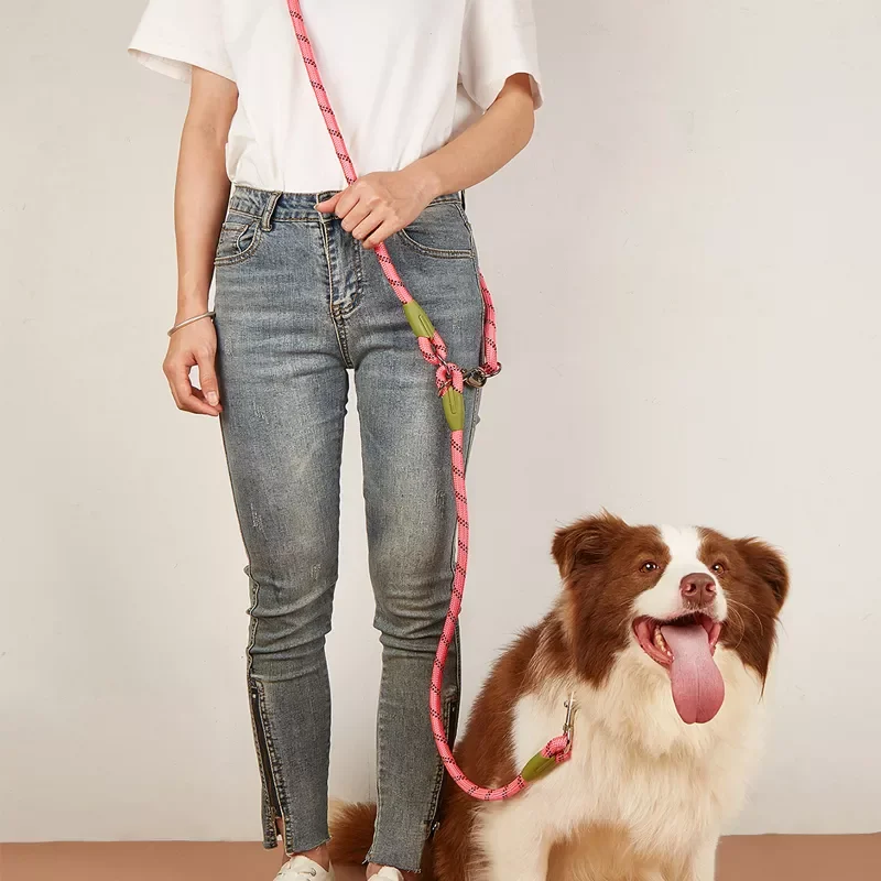 2022JMT Reflective Nylon Leashes Pet Dogs Chain Traction Rope Leads for Running Free Hands Rope Chain for Small Large Dogs
2022JMT Reflective Nylon Leashes Pet Dogs Chain Traction Rope Leads for Running Free Hands Rope Chain for Small Large Dogs