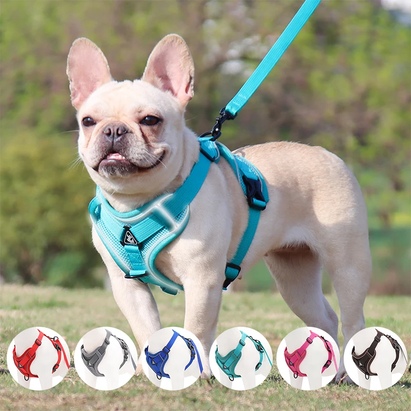 Dog Harness No Pull Reflective Pet Chest Vest Traction Leash Set Adjustable Outdoors Pet Harness for Small Meduim Dogs Cats
Dog Harness No Pull Reflective Pet Chest Vest Traction Leash Set Adjustable Outdoors Pet Harness for Small Meduim Dogs Cats