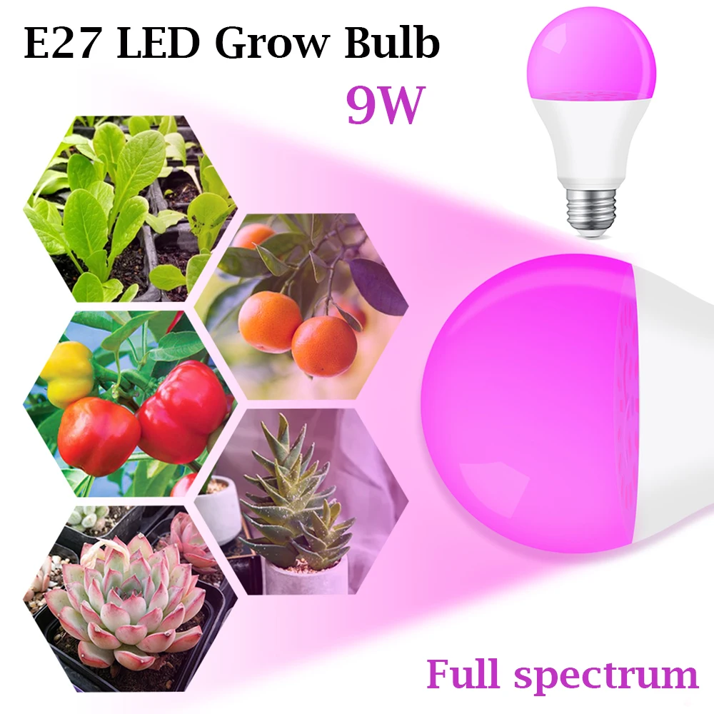 2pack Grow Light Bulb E27 9W Led Lights For Greenhouses Phytolamp Full Spectrum Bulbs For Indoor Flowers Seeds Home Plant Lamp
2pack Grow Light Bulb E27 9W Led Lights For Greenhouses Phytolamp Full Spectrum Bulbs For Indoor Flowers Seeds Home Plant Lamp