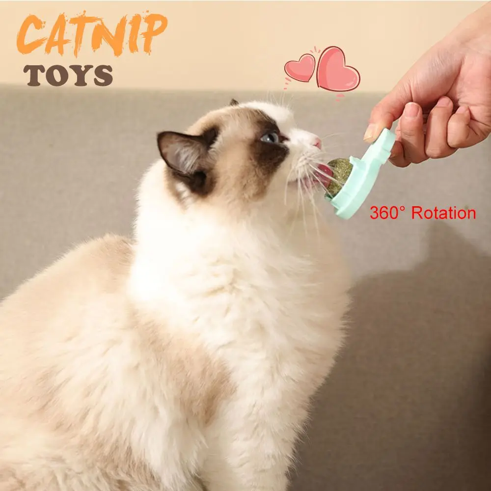 Snail Shape Edible Rotatable Cat Toys Interactive Rotatable Cat Mint Catnip Balls
Snail Shape Edible Rotatable Cat Toys Interactive Rotatable Cat Mint Catnip Balls