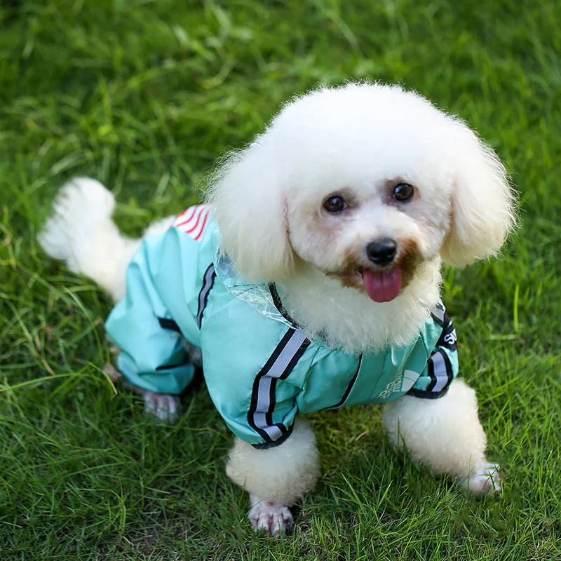 Dog Pee Raincoat Outdoor Waterproof Pet Clothes Jumpsuit Reflective Dog Jacket Dogs Water Resistant Clothes for Small Medium Dog
Dog Pee Raincoat Outdoor Waterproof Pet Clothes Jumpsuit Reflective Dog Jacket Dogs Water Resistant Clothes for Small Medium Dog