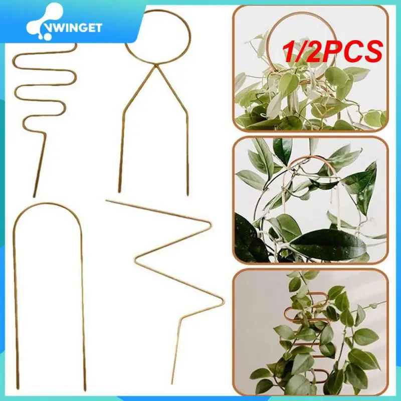 1/2PCS Household Garden Plant Climbing Support Frame Garden Plant Climbing Frame Plant Stand Geometric Climbing Frame
1/2PCS Household Garden Plant Climbing Support Frame Garden Plant Climbing Frame Plant Stand Geometric Climbing Frame