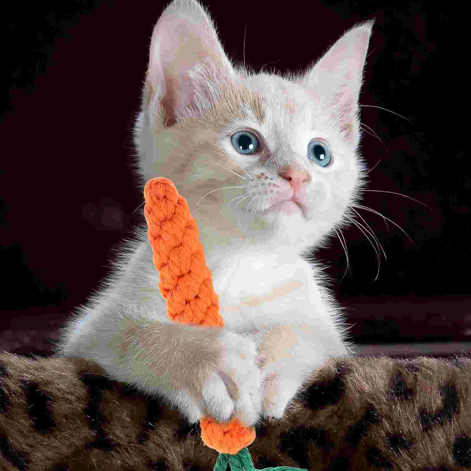 Toys Cat Toy Dog Carrot Kitten Puppy Teething Teasing Cotton Rope Molar Sticks Chewing Scratch Cats Training Crinkle Chew
Toys Cat Toy Dog Carrot Kitten Puppy Teething Teasing Cotton Rope Molar Sticks Chewing Scratch Cats Training Crinkle Chew