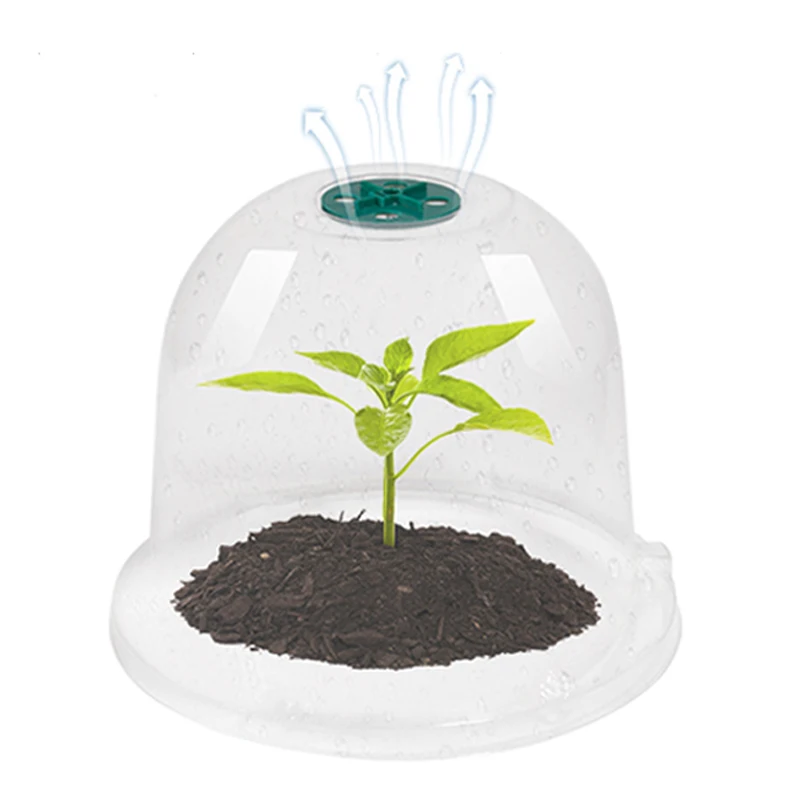 3pcs Plant Germination Protective Cover Constant Temperature Anti-Frost to Improve The Survival Rate of Seedlings Can Be Reused
3pcs Plant Germination Protective Cover Constant Temperature Anti-Frost to Improve The Survival Rate of Seedlings Can Be Reused