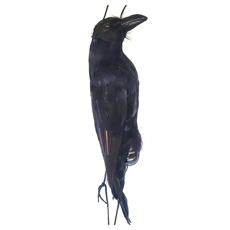 Realistic Hanging Dead Crow 1 Pack Large Halloween Black Feathered Crow Decoys Ravens Outdoor Halloween Decorations Props Decor
Realistic Hanging Dead Crow 1 Pack Large Halloween Black Feathered Crow Decoys Ravens Outdoor Halloween Decorations Props Decor