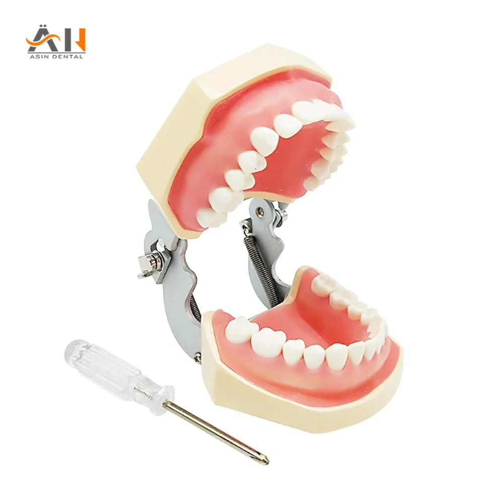 Стоматологическая модель имплантации зубов, стоматология, стоматология, обучение заболеваниям, демонстрационная модель деазина
Стоматологическая модель имплантации зубов, стоматология, стоматология, обучение заболеваниям, демонстрационная модель деазина