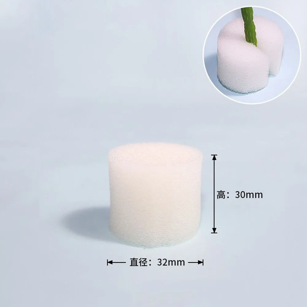 100Pcs 30mm*32mm/40mm Garden Hydroponic Sponge Soilless Cultivation Vegetable Seedling Basket Sponge Agricultural Hydroponic
100Pcs 30mm*32mm/40mm Garden Hydroponic Sponge Soilless Cultivation Vegetable Seedling Basket Sponge Agricultural Hydroponic