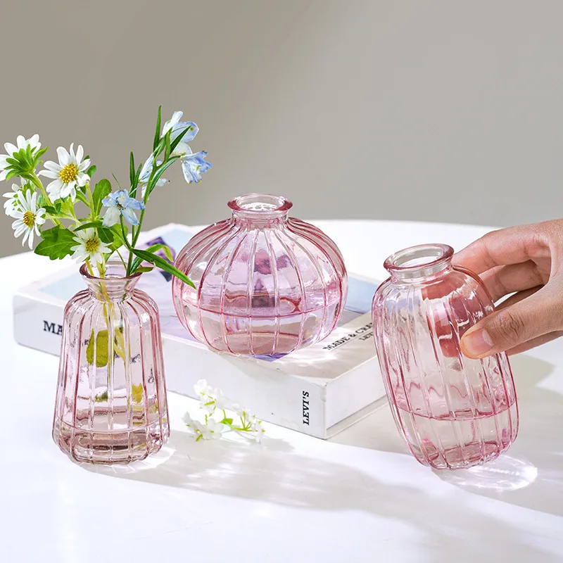 Simple Style Creative Mini Hydroponic Glass Vase Green Plant Fresh Flower Desktop Decoration Minimalist Color Vase Ornaments
Simple Style Creative Mini Hydroponic Glass Vase Green Plant Fresh Flower Desktop Decoration Minimalist Color Vase Ornaments
