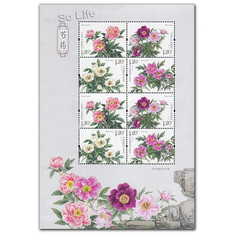 Пион, 2019-9, сувенирный лист. Почтовые штампы, Philately, почтовые расходы, коллекция
Пион, 2019-9, сувенирный лист. Почтовые штампы, Philately, почтовые расходы, коллекция