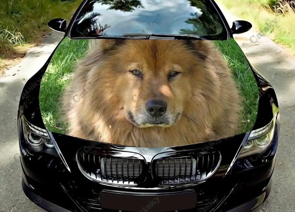 Animal Chow Family Dog Lover Car Hood Vinyl Decal Sticker Wrap Vinyl Film Engine Cover Decals Sticker Car Hood Cover Decal Film
Animal Chow Family Dog Lover Car Hood Vinyl Decal Sticker Wrap Vinyl Film Engine Cover Decals Sticker Car Hood Cover Decal Film