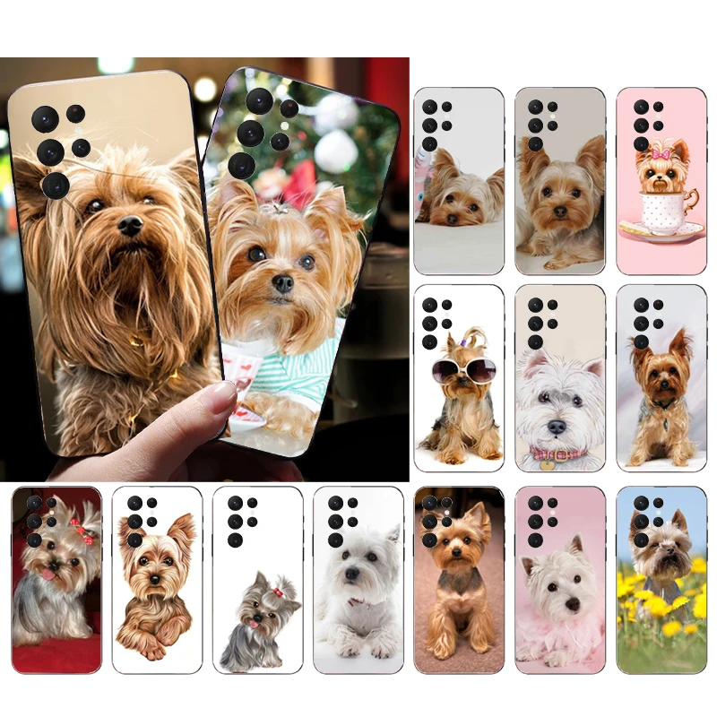 Phone Case for Samsung Galaxy S23 S22 S21 S20 Ultra S20 S22 S21 S10 S9 Plus S10E S20FE Cute Yorkshire terrier dog
Phone Case for Samsung Galaxy S23 S22 S21 S20 Ultra S20 S22 S21 S10 S9 Plus S10E S20FE Cute Yorkshire terrier dog