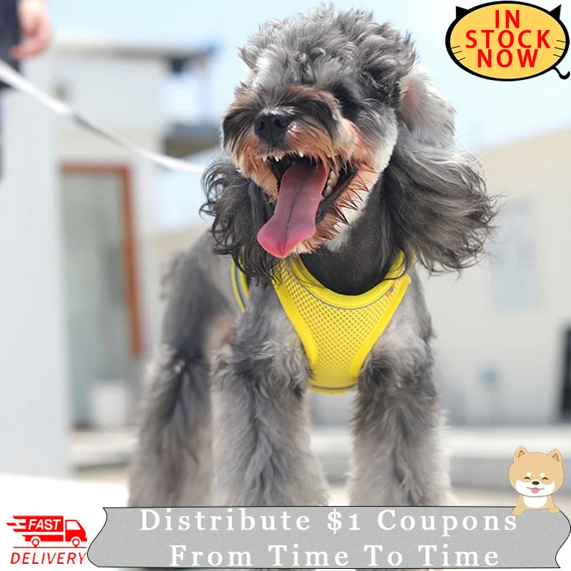 Adjustable Dog Harness Set Vest Chest Cat Collars Rope Small Dogs Reflective Breathable Adjustable Outdoor Walking Pet Supplies
Adjustable Dog Harness Set Vest Chest Cat Collars Rope Small Dogs Reflective Breathable Adjustable Outdoor Walking Pet Supplies