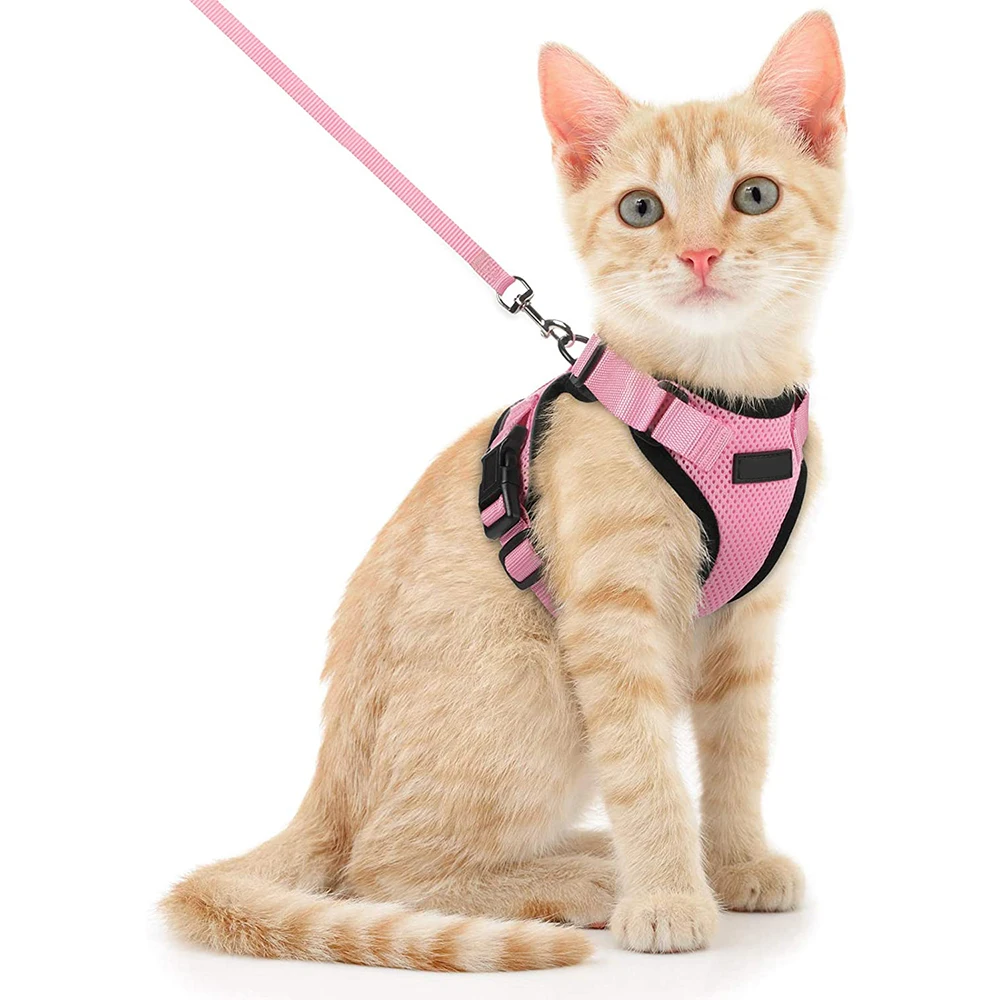 Cat Harness and Leash Set Escape Proof Safe Adjustable Kitten Vest Harnesses for Walking Easy Control Soft Mesh Jacket for Cats
Cat Harness and Leash Set Escape Proof Safe Adjustable Kitten Vest Harnesses for Walking Easy Control Soft Mesh Jacket for Cats