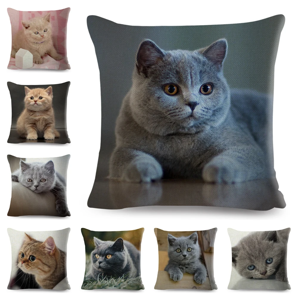 Home Decor British Shorthair Russian Blue Cushion Cover Cute Cat Pet Animal Pillowcase Sofa Polyester Pillowcase 45x45cm
Home Decor British Shorthair Russian Blue Cushion Cover Cute Cat Pet Animal Pillowcase Sofa Polyester Pillowcase 45x45cm